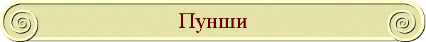 Пунши